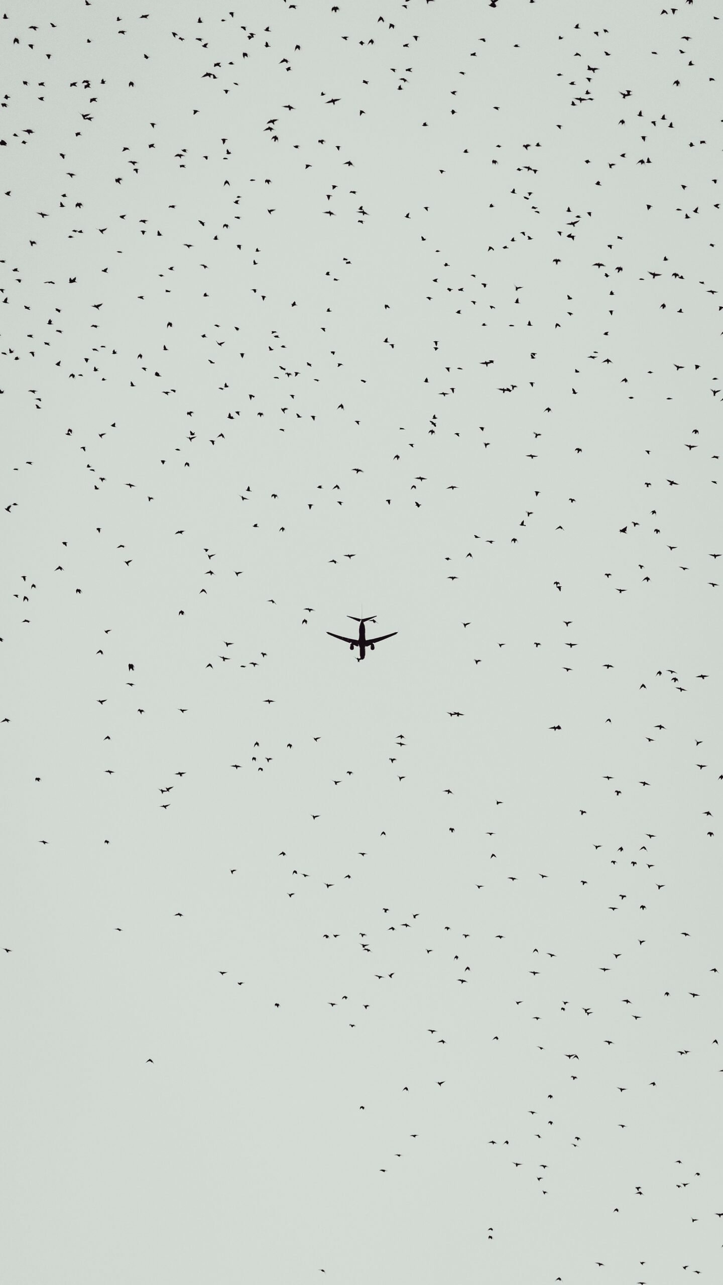 flying airliner in sky